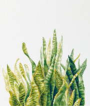 Набор для вышивания " PANNA" C- 7455 " Сансевиерия" 35 х 43. 5 см